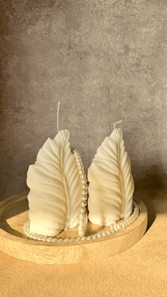 PLUME